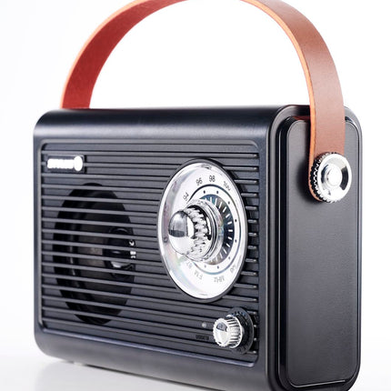 Stylus AV Retro 100W Portable Bluetooth Speaker with FM Radio